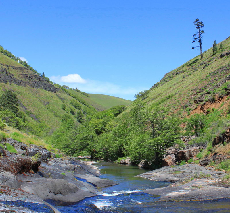 Swale Canyon